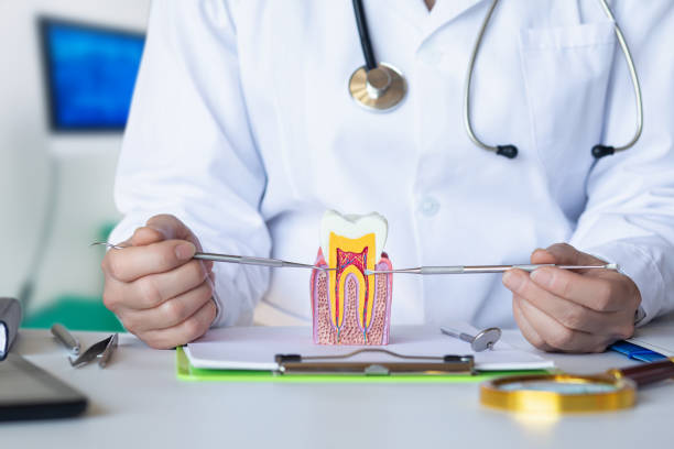 Best Emergency Dentist for Lost Fillings or Crowns in Anahuac, TX